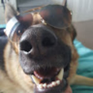 Meet your Posher, Lexi